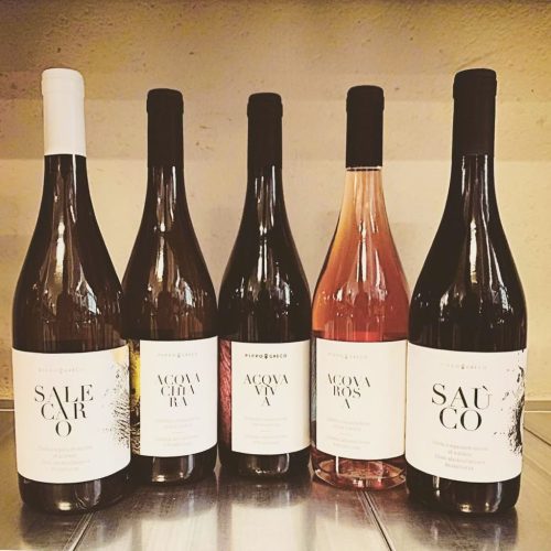 Vini del Cilento